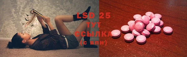 дживик Бронницы