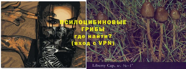 дживик Бронницы