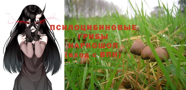дживик Бронницы