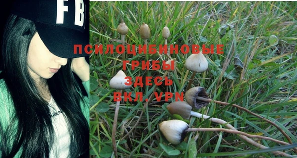 дживик Бронницы