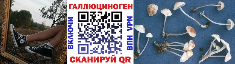 hydra сайт  Козьмодемьянск  Галлюциногенные грибы GOLDEN TEACHER  где купить наркотик 